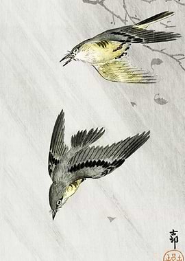 Songbirds In Rain 1900 19