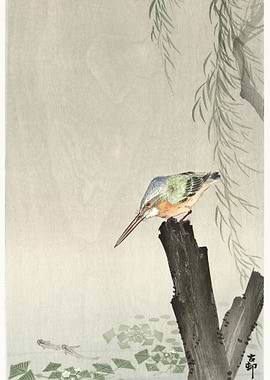 Kingfisher On A Tree Stump