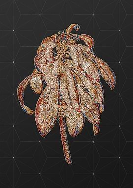 Rainbow Mosaic Botanical