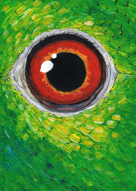Amazon parrot eye