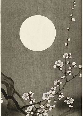 Blooming Plum Blossom At F