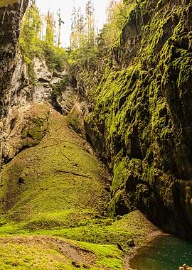 The enter to the cave