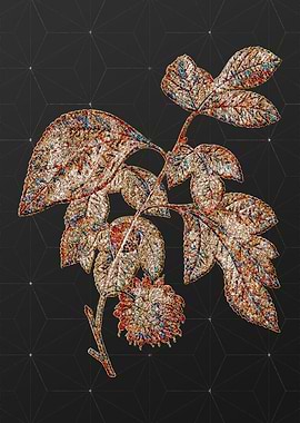 Prismatic Mosaic Floral