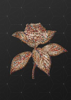 Stained Glass Botanical