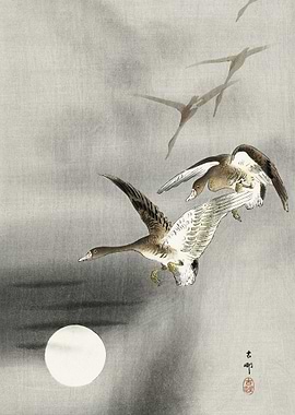 Geese In Flight 1900 1930