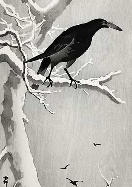 Crow On Snowy Tree Branch