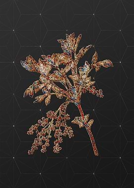 Rainbow Mosaic Botanical