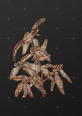 Rainbow Mosaic Botanical