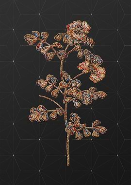 Rainbow Mosaic Botanical