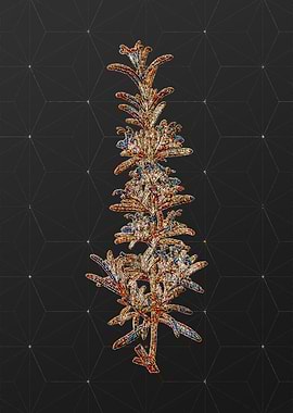 Rainbow Mosaic Botanical