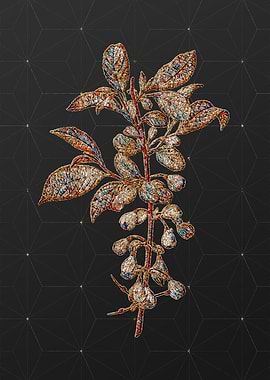 Prismatic Mosaic Floral