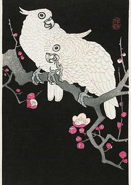 Two Cockatoo And Plum Blos
