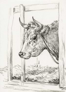 Head Of A Cow 1820 By Jean