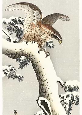 Eagle On A Tree Branch 188