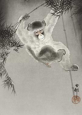 Monkey Hanging From Bamboo