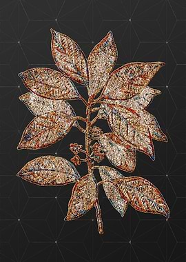 Rainbow Mosaic Botanical