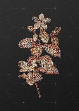 Stained Glass Botanical