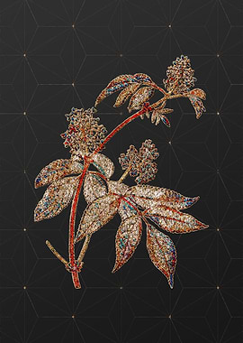 Rainbow Mosaic Botanical