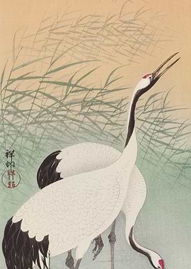 Two Cranes 1925 1936 By O