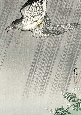 Cuckoo In Storm 1925 1936