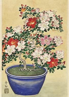 Blooming Azalea In Blue Po