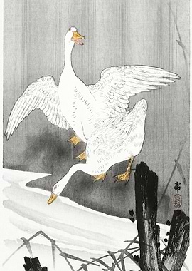 Two Geese On A River 1900