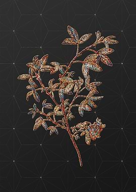 Rainbow Mosaic Botanical