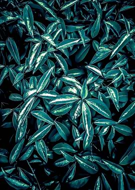 green leaves texture