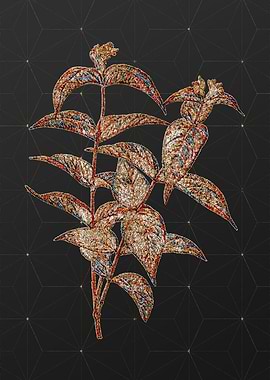 Prismatic Mosaic Floral