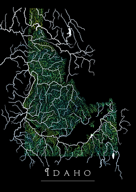 Idaho Flow State