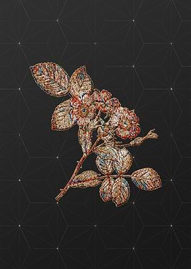 Rainbow Mosaic Botanical