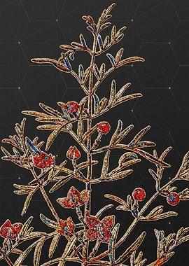 Rainbow Mosaic Botanical