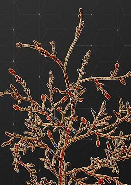 Rainbow Mosaic Botanical