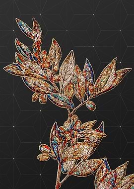 Rainbow Mosaic Botanical