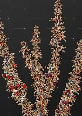 Rainbow Mosaic Botanical