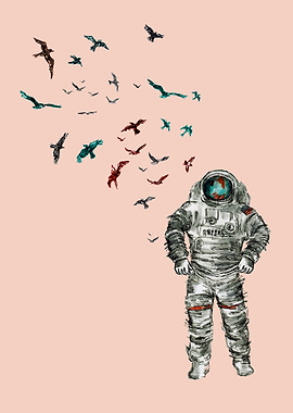 Space Birds