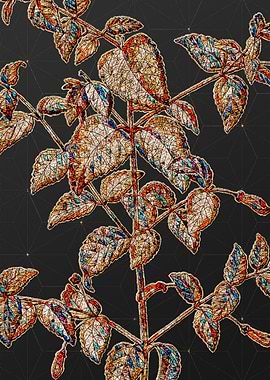 Rainbow Mosaic Botanical