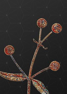 Stained Glass Floral