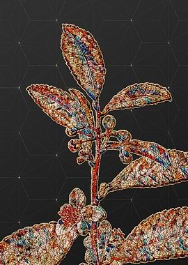 Rainbow Mosaic Botanical