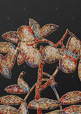 Rainbow Mosaic Botanical