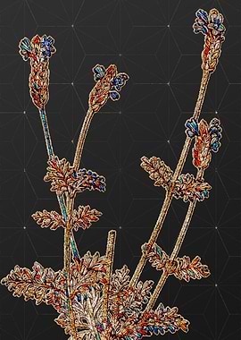 Rainbow Mosaic Botanical