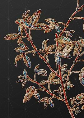 Rainbow Mosaic Botanical