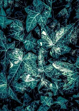 green leaves