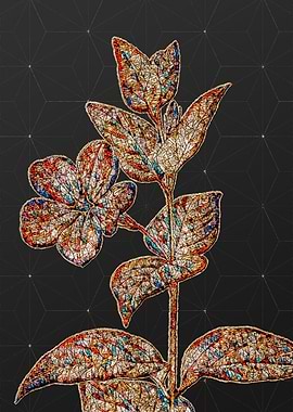 Prismatic Mosaic Botanical
