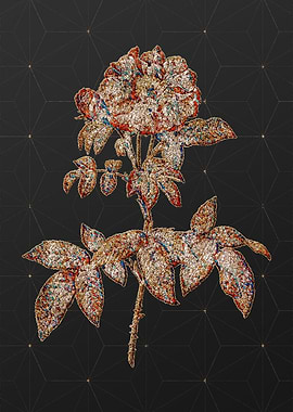 Rainbow Mosaic Botanical