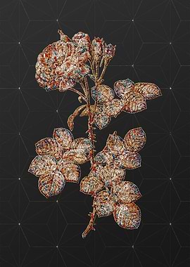 Prismatic Mosaic Floral