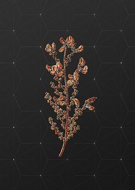 Prismatic Mosaic Botanical