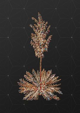 Prismatic Mosaic Botanical