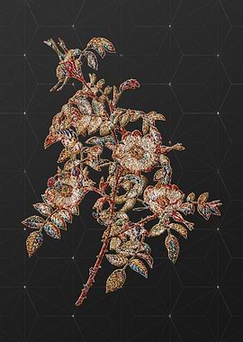 Rainbow Mosaic Botanical