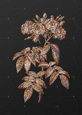 Rainbow Mosaic Botanical